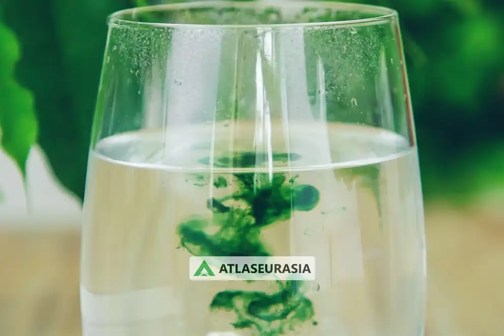 کلروفیل چیست؟ بررسی دقیق خواص، فواید و ویژگی های آن